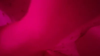 id验证！简介可约 哈尔滨江北学妹骚话可射